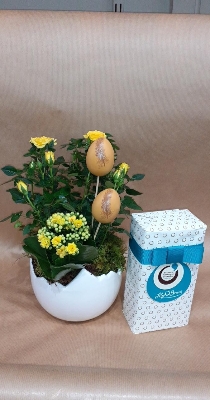Hatched Easter Planter and Chocolates