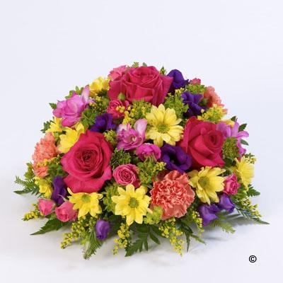 Classic Posy   Vibrant *