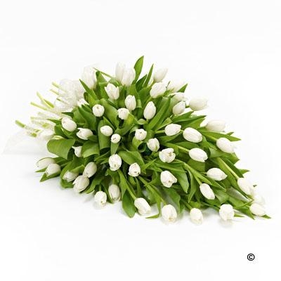 Tulip Posy *