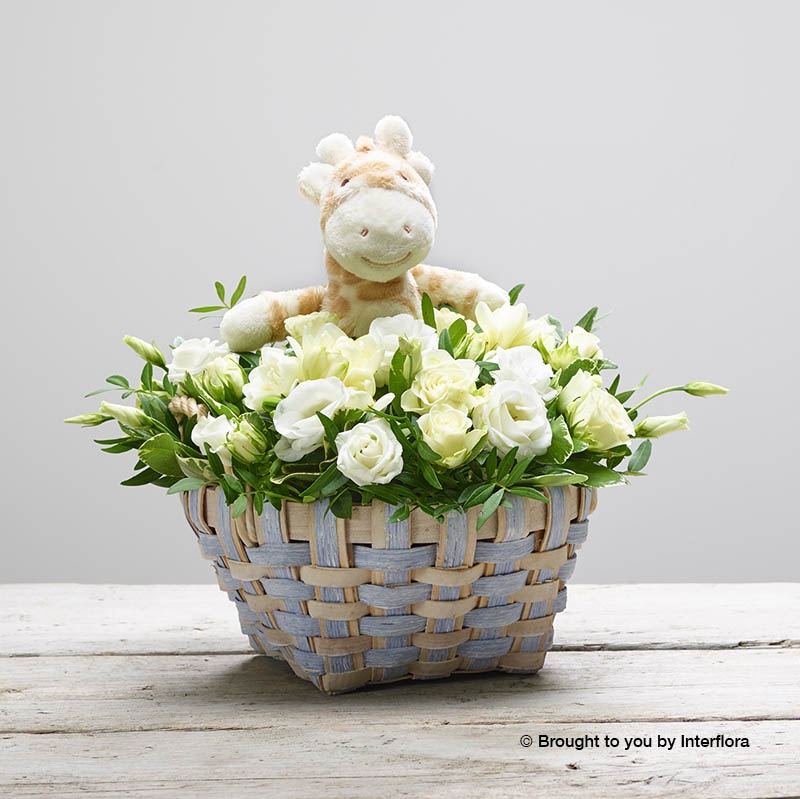 Baby basket online shopping shop