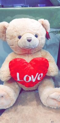 Love 55cm Bear