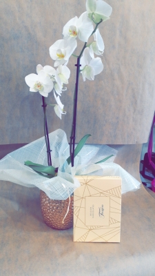 Orchid Gift Set