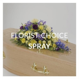 Florist Choice Spray