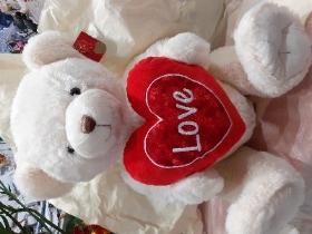 Valentine 55cm Bear