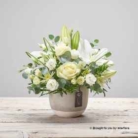 Cloud 9 Arrangement