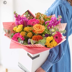 Deluxe Bright Box